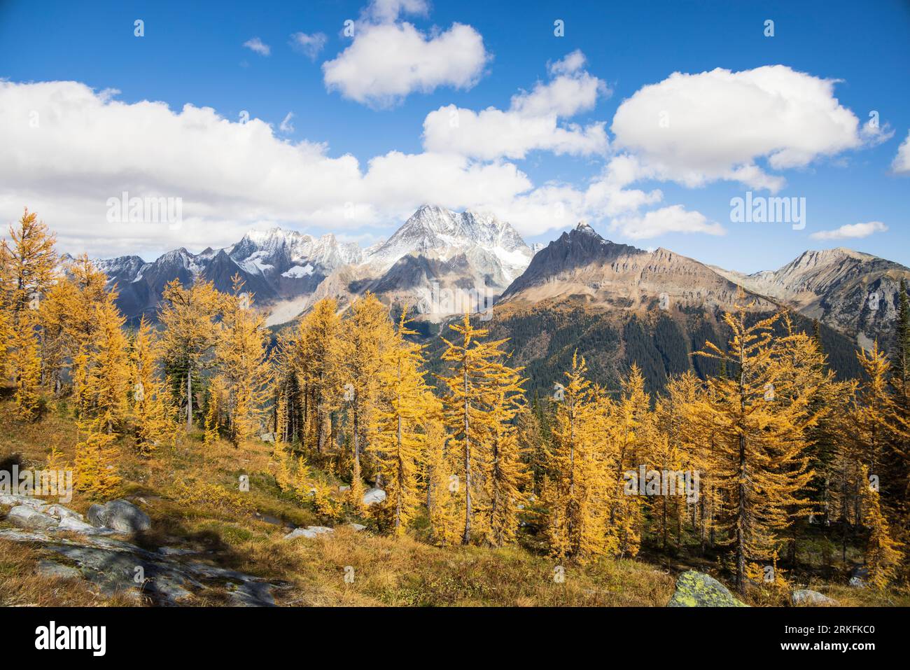 Jumbo Pass im Herbst, British Columbia Kanada Stockfoto