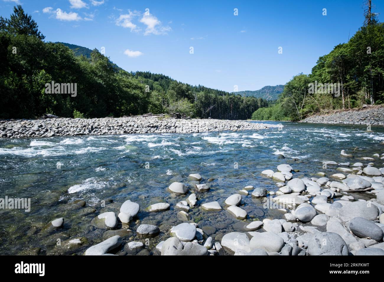 Elwha River im Olympic National Park im Bundesstaat Washington. Stockfoto
