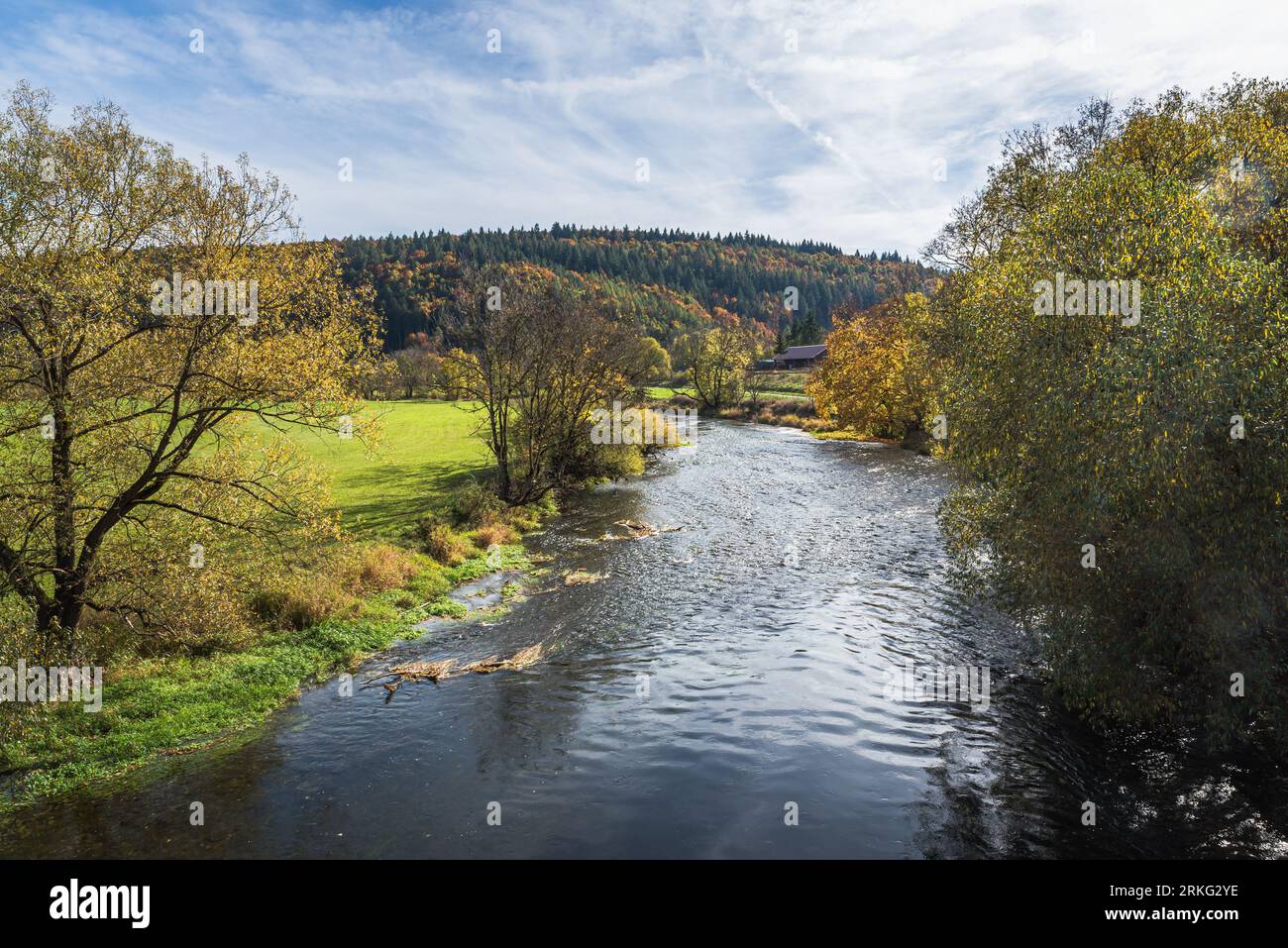 Die Donau bei Gutenstein im herbstlichen oberen Donautal, Naturpark obere Donau, Schwäbische Alb, Baden-Württemberg, Deutschland Stockfoto