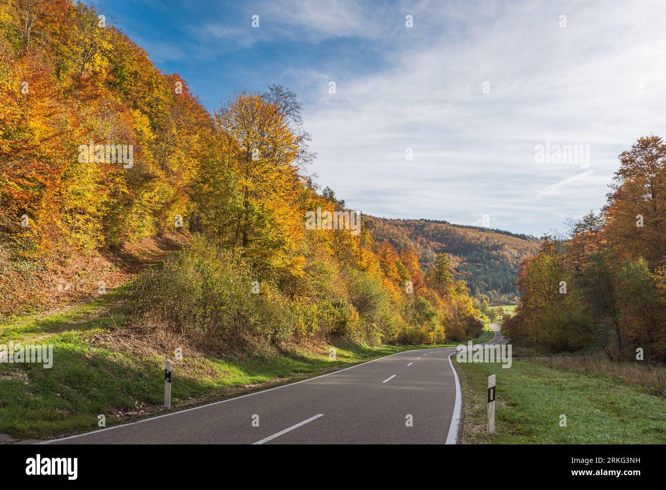 Landstraße durch Herbstwald im oberen Donautal, Naturpark obere Donau, Schwäbische Alb, Baden-Württemberg, Deutschland Stockfoto
