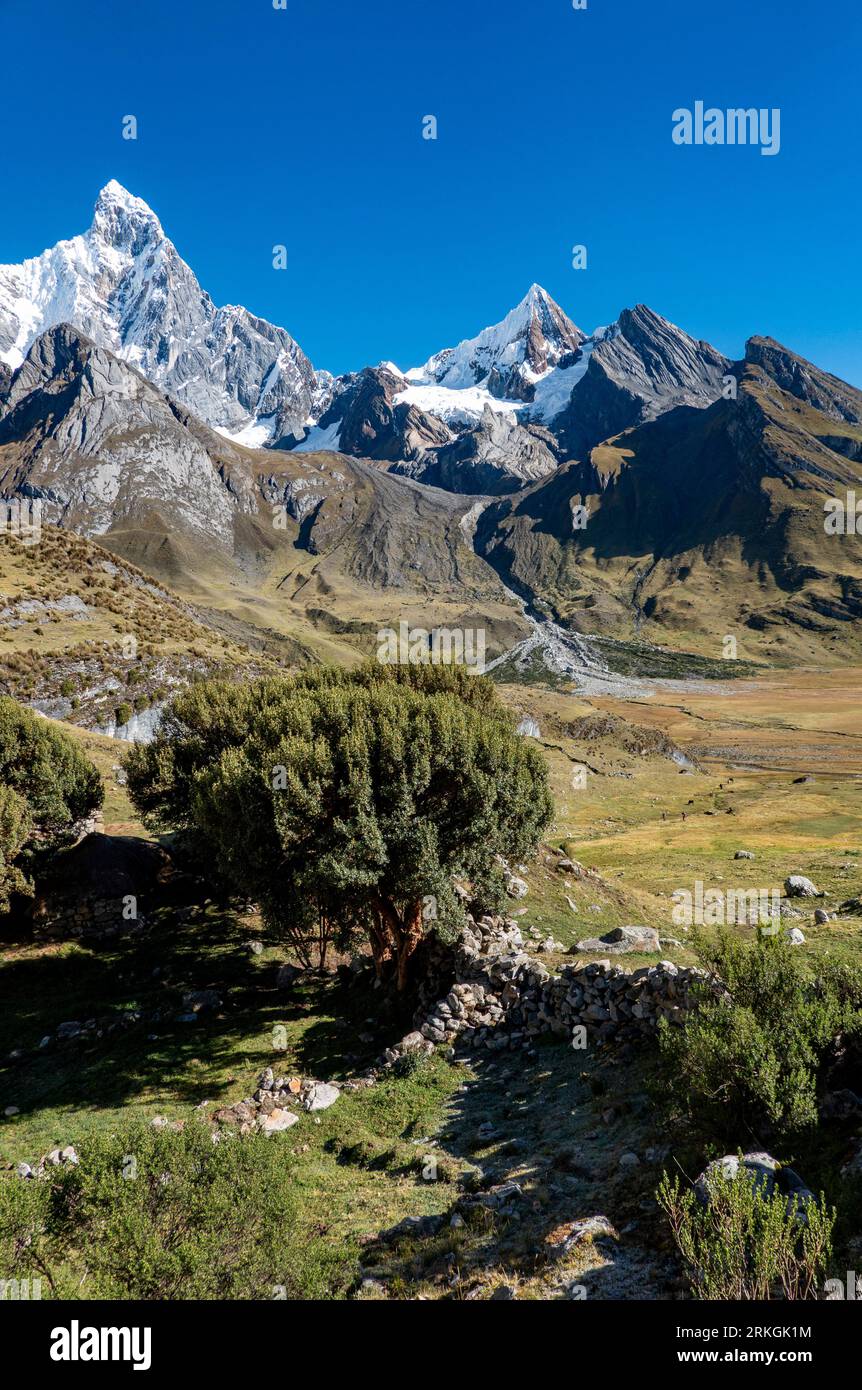 Blick auf den Mount Jirishanca, Wanderung vom Carhuacocha See zum Siula Pass, Huayhuash Wanderstrecke, Peru Stockfoto