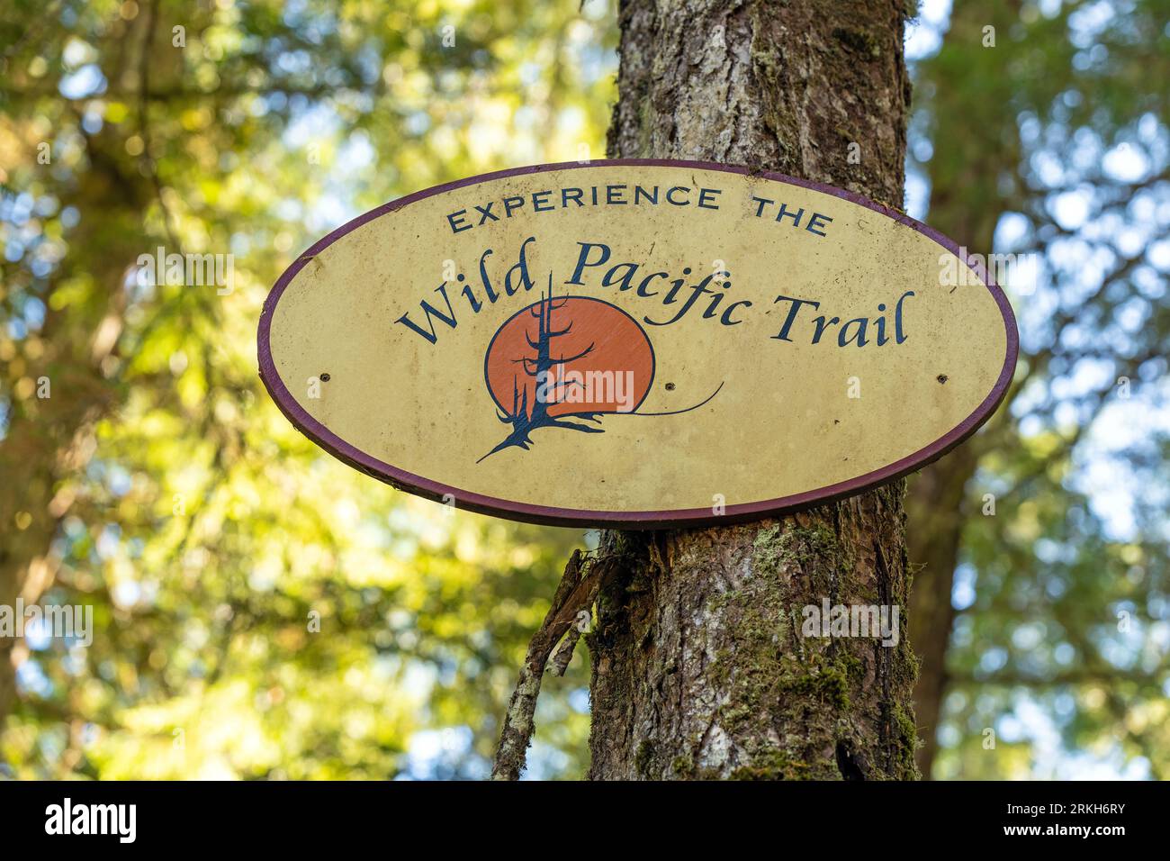 Schild der Wild Pacific Trail Hike, auch bekannt als Lighthouse Loop, Ucluelet, Vancouver Island, BC, Kanada. Stockfoto