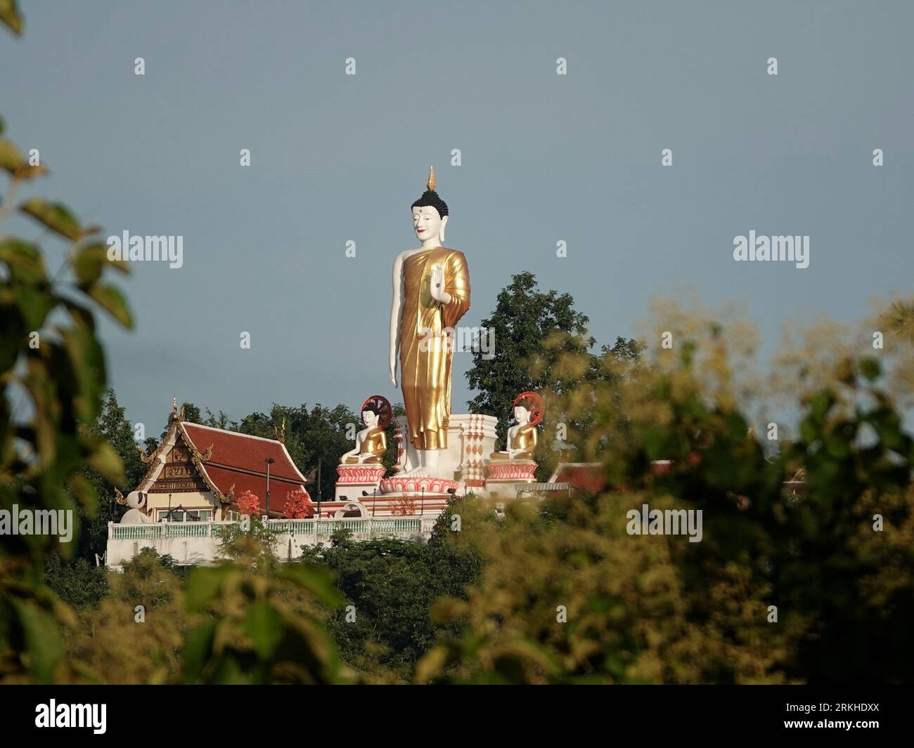 The standing Buddha statue at Wat Phrathat Doi Kham temple in Thailand Stockfoto