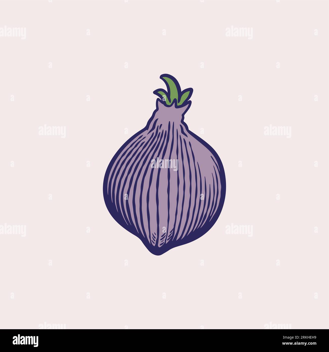 Französische Schalottenzwiebel oder Allium cepa, aggregatum. Freihändige Umrissfarbe Hand gezeichnetes Objektsymbol skizzenhaft. Bio-gesunde Lebensmittel. Grünes Gemüse. Handzeichnung Stock Vektor