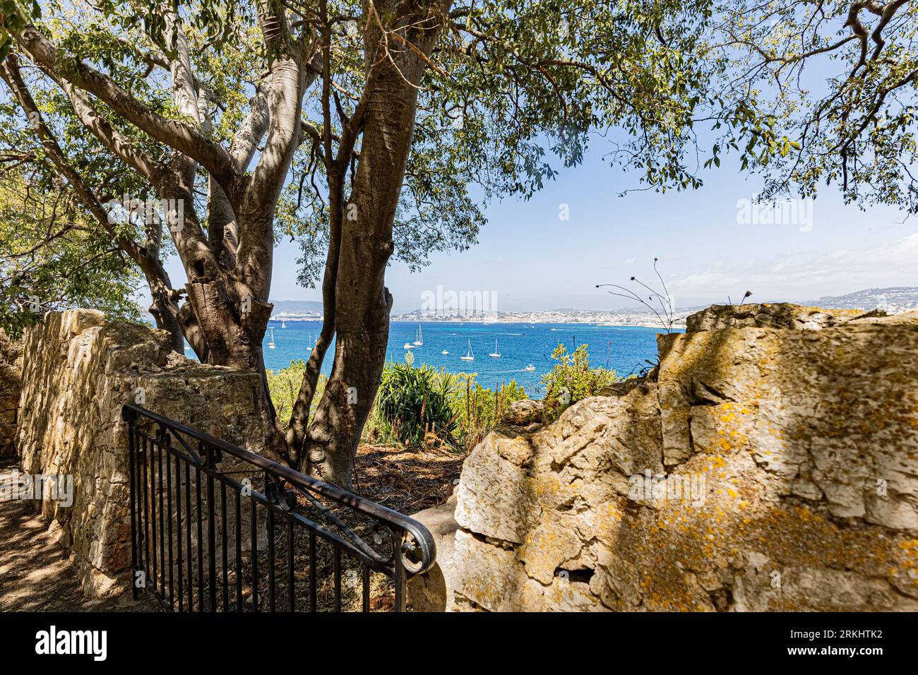 Auf der Insel Sainte-Marguerite, im Archipel von Lérins gegenüber von Cannes. Sur l'île Sainte-Marguerite, dans l'archipel de Lérins Face à Cannes. Stockfoto