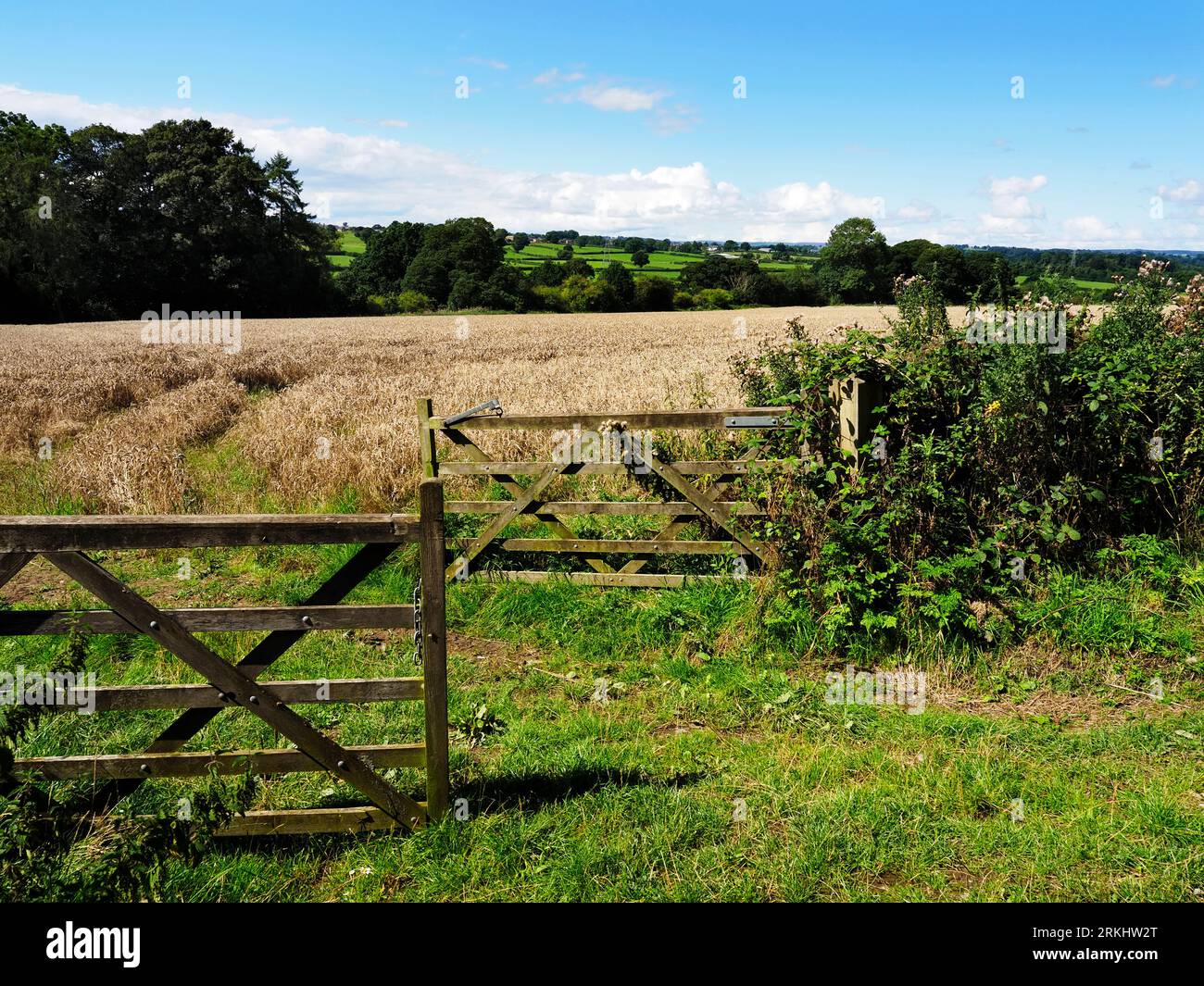 Blick durch ein Doppeltor über eine reifende Ernte vom Nidderdale Greenway Teil der National Cycle Route 67 North Yorkshire England Stockfoto