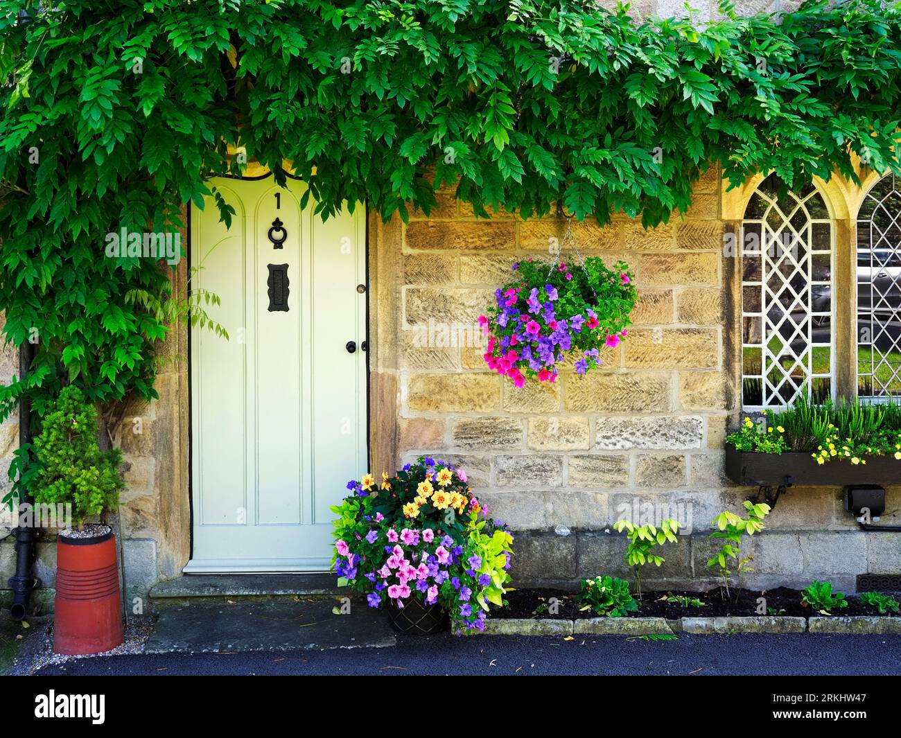 Haus bedeckt mit einem Kriechgang mit Sommerblumen draußen im Ripley North Yorkshire England Stockfoto