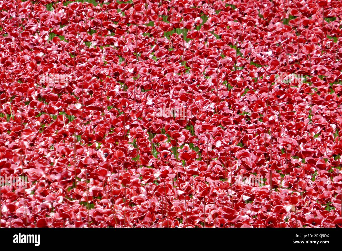 London, UK, Keramik-Mohnblumen im Tower of London Moat. Stockfoto