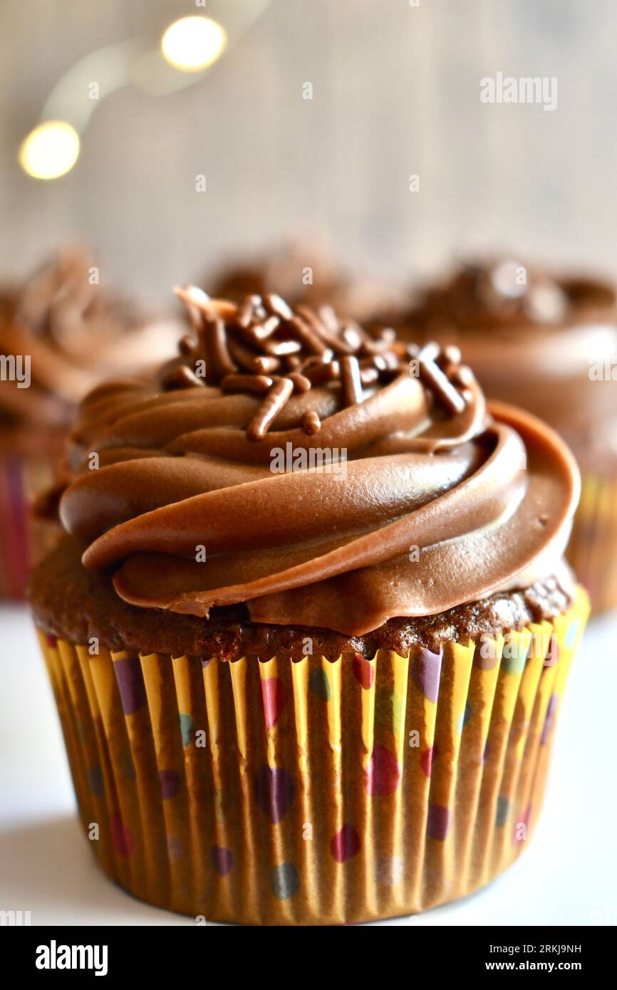 Schokoladen-Cupcake isoliert im vertikalen Rahmen Stockfoto