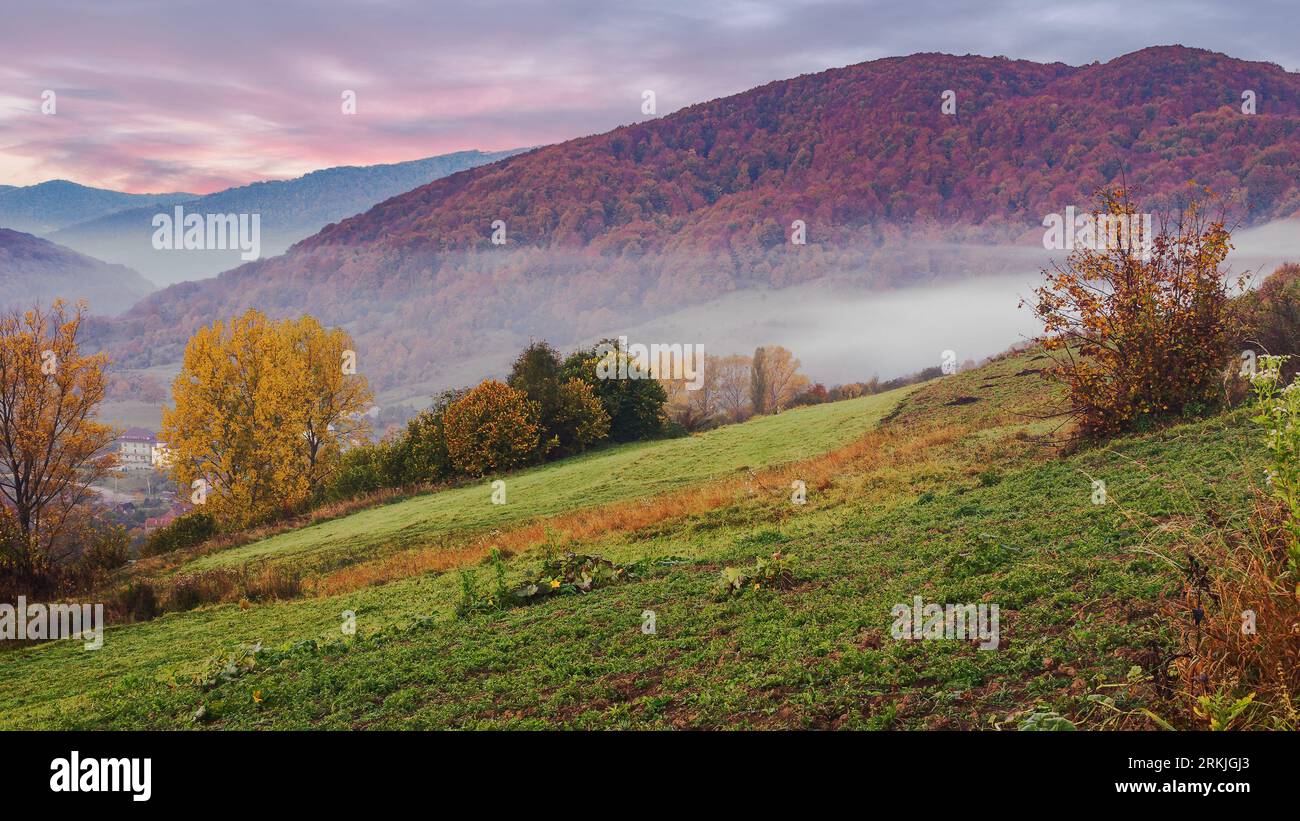 karpatenlandschaft im Herbst. Nebelwetter bei Tagesanbruch. Feld auf den Hügeln. Bäume im Herbstlaub. Bewölkter Himmel Stockfoto