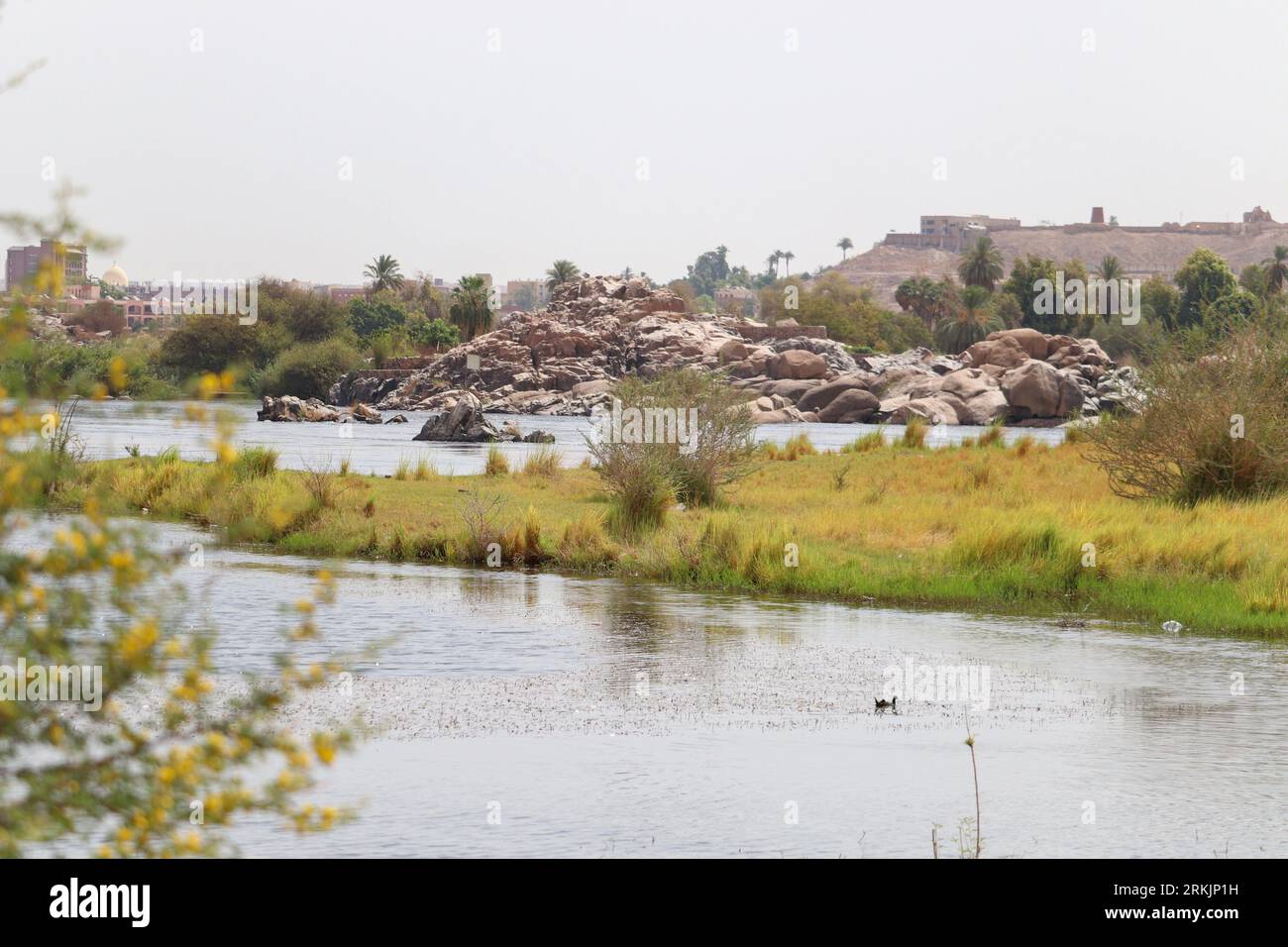 Wunderschöne grüne Landschaft am nil in Assuan, Ägypten Stockfoto