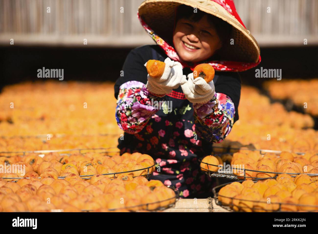 Bildnummer: 56189438 Datum: 17.10.2011 Copyright: imago/Xinhua (111017) -- HSINCHU, 17. Oktober 2011 (Xinhua) -- Ein Arbeiter einer Persimmon-Verarbeitungsfabrik trocknet die Persimmons in Hsinchu, Taiwan im Südosten Chinas, 17. Oktober 2011. Hsinchu ist ein County im Südosten Chinas Taiwan und lokale Persimonen sind bei den Verbrauchern bekannt. (Xinhua/Ren Zhenglai) (zhs) CHINA-HSINCHU-PERSIMMON (CN) PUBLICATIONxNOTxINxCHN Wirtschaft Landwirtschaft Kaki Trocknen Trocknung Frucht x0x xst 2011 quer 56189438 Datum 17 10 2011 Copyright Imago XINHUA Hsinchu OCT 17 2011 XINHUA ein Mitarbeiter einer Persimmon-Verarbeitung Stockfoto