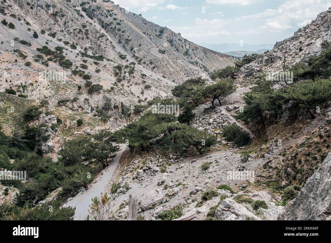 Der Weg von der Rouvas-Schlucht führt weiter durch Bäume und die Psiloritis-Berge auf Kreta. Stockfoto