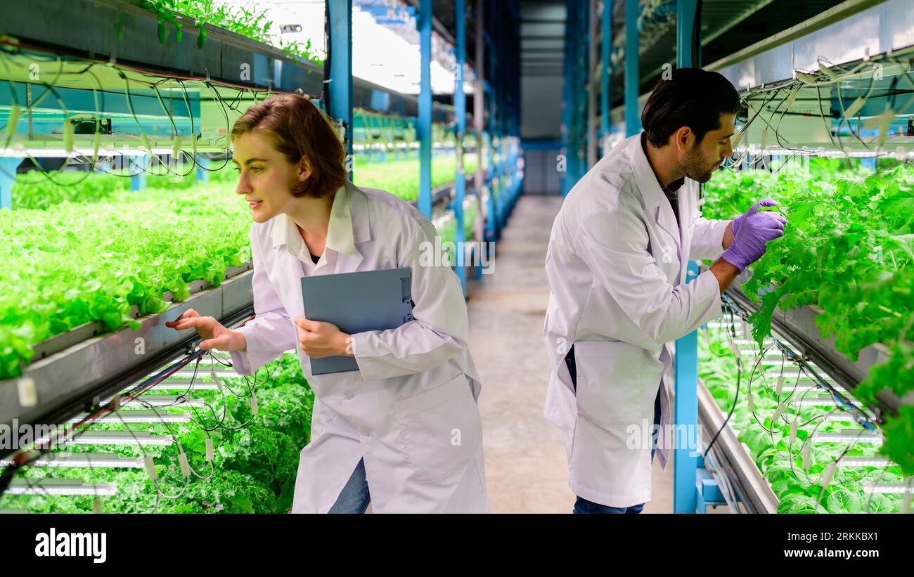Glückliche Wissenschaftler mit Bauernfabrik, intelligenter Bauernhof mit Technologie Stockfoto