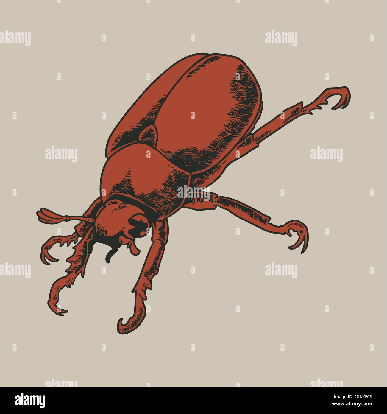 Hand drawing beetle flowers. Decorative flying insect vintage engraving style. Can be used for for postcard, t-shirt, tattoo, fabric bag, poster or ot Stock Vektor