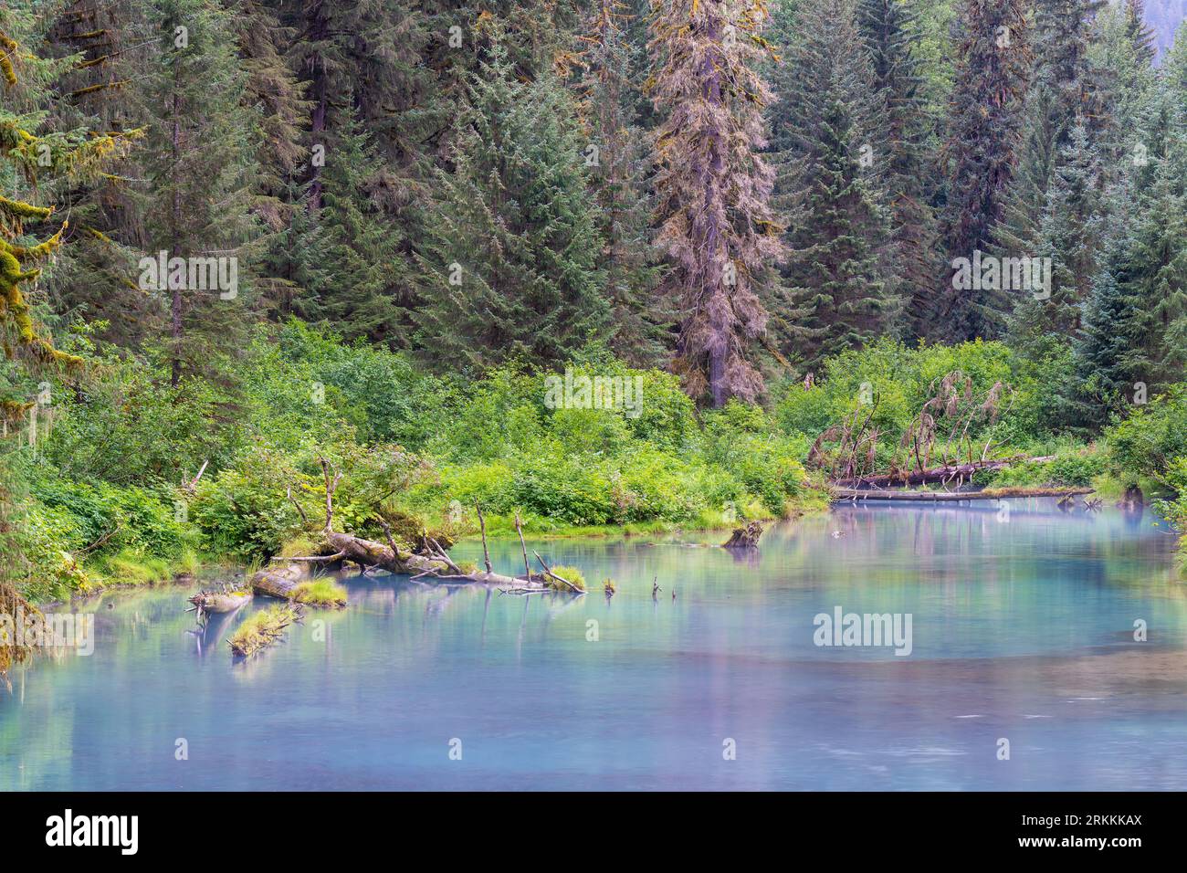 Lagune im Nebel von Fish Creek, Tongass National Forest, Alaska, USA. Stockfoto