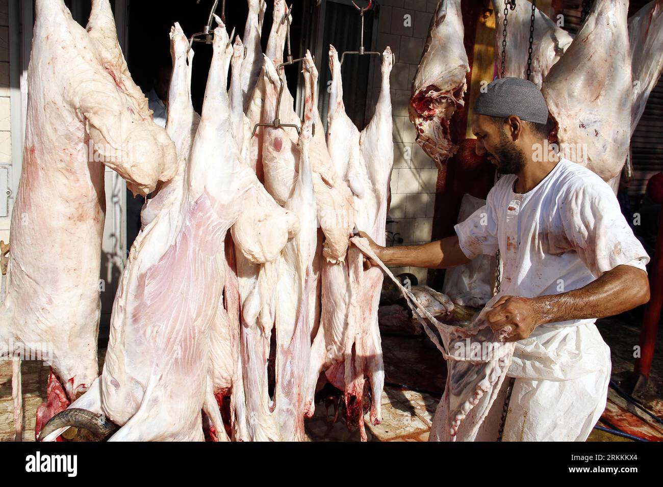 Bildnummer: 56255920 Datum: 06.11.2011 Copyright: imago/Xinhua (111107) -- KAIRO, 7. November 2011 (Xinhua) -- ein ägyptischer Metzger reinigt das Fleisch während des islamischen Eid al-Adha, oder fest des Opfers, in Kairo, 6. November 2011. (Xinhua/Nasser Nouri) (srb) EGYPT-CAIRO-EID-AL-ADHA PUBLICATIONxNOTxINxCHN Gesellschaft Religion Islam Moslem fest Opferfest xjh x0x 2011 quer 56255920 Datum 06 11 2011 Copyright Imago XINHUA Kairo 7. November 2011 XINHUA an ägyptischen Metzger reinigt das Fleisch während des islamischen Eides Al Adha oder des Opferfestes in Kairo 6. November 2011 XINHUA Nasser Nouri SRB Ägypten Kairoer Hafer Stockfoto