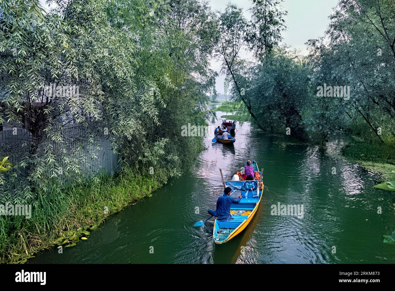 Shikara-Tour auf den Wasserstraßen von Dal Lake, Srinagar, Kaschmir, Indien Stockfoto