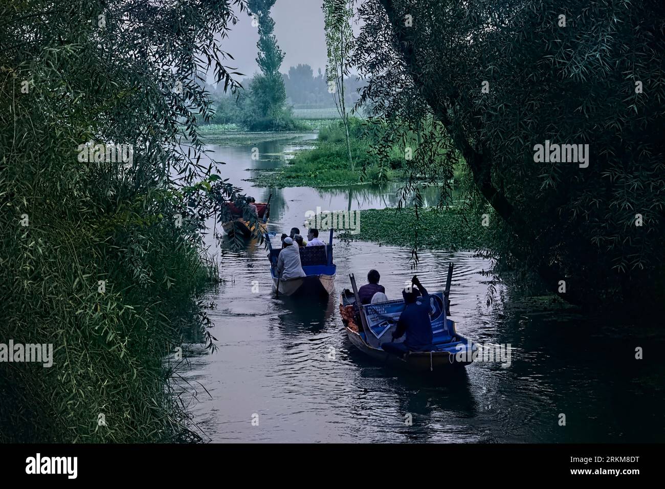 Shikara-Tour auf den Wasserstraßen von Dal Lake, Srinagar, Kaschmir, Indien Stockfoto