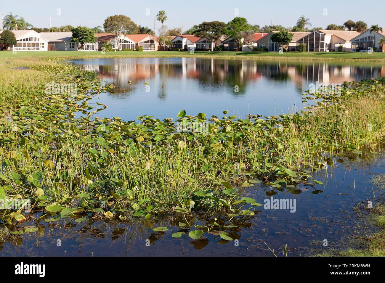 Süßwassersee in einer eingezäunten Gemeinde in Florida. Stockfoto