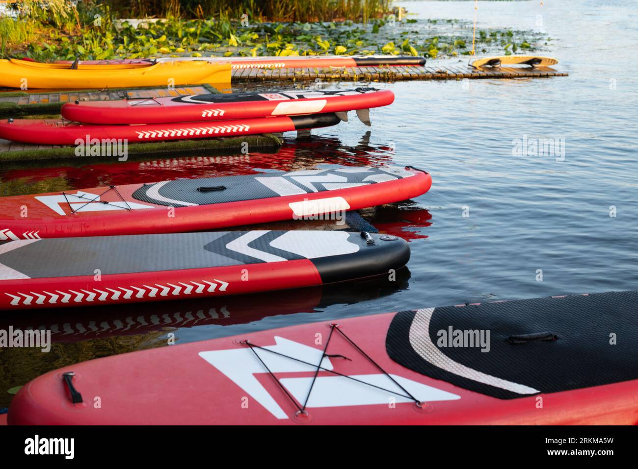 SUP Stand Up Paddle Board auf dem blauen Wasser im Hintergrund. Viele Paddelbretter am rivershore. Wassertourismus und Aktivsport Stockfoto