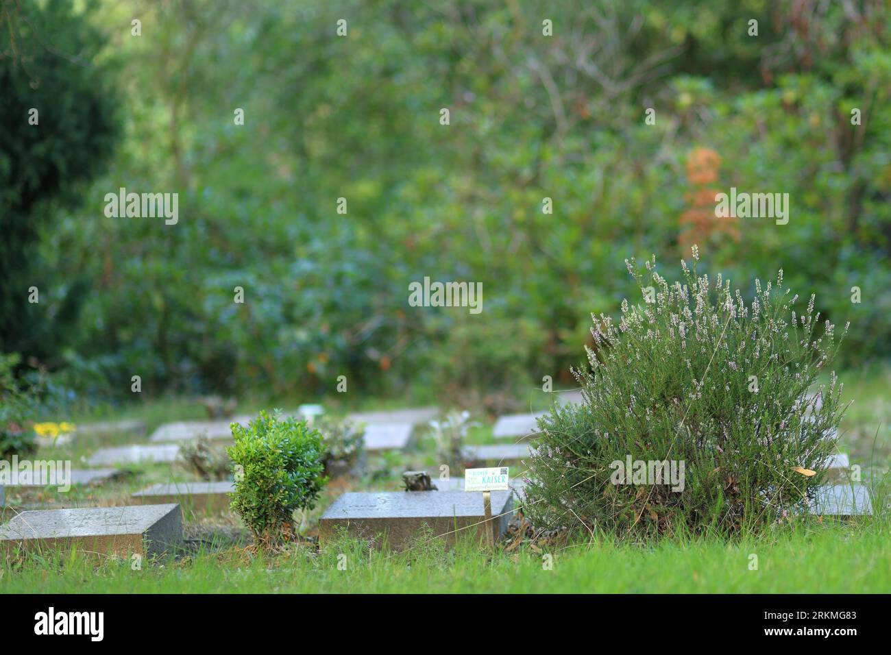 Details zum Südfriedhof in Leipzig Stockfoto