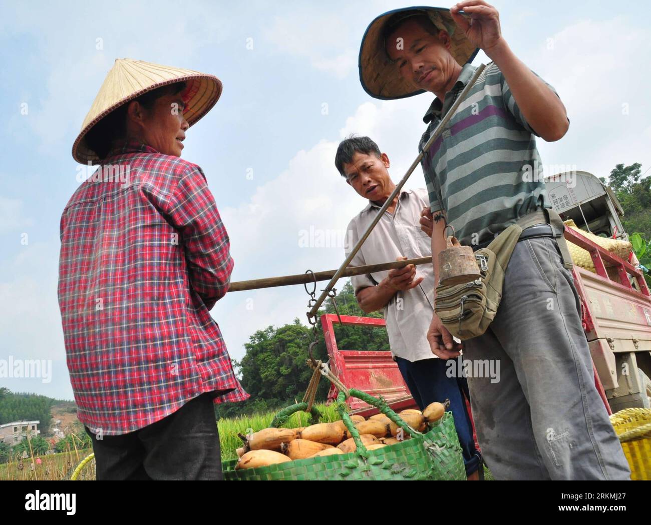Bildnummer: 56764051 Datum: 20.12.2011 Copyright: imago/Xinhua (111220) -- NANNING, 20. Dezember 2011 (Xinhua) -- Farmers sell Lotus Root in Shuangqiao Township of Wuming County, Südwestchina's Guangxi Zhuang Autonomous Region, 1. November 2011. Ein blaues Buch, das am Montag von der Regierung vorgestellt wurde, sagte, dass das verfügbare Pro-Kopf-Einkommen der Stadtbewohner in den ersten drei Quartalen 2011 16.301 Yuan (2.574 US-Dollar) betrug, was einen Sprung von 7,8 Prozent im Vergleich zu dem von 2010 bedeutete. Das Buch wurde von der Chinesischen Akademie der Sozialwissenschaften zusammengestellt und besagte, dass die Einwohner des ländlichen Raums in diesem Zeitraum ein Bareinkommen pro Kopf von 5.878 hatten Stockfoto
