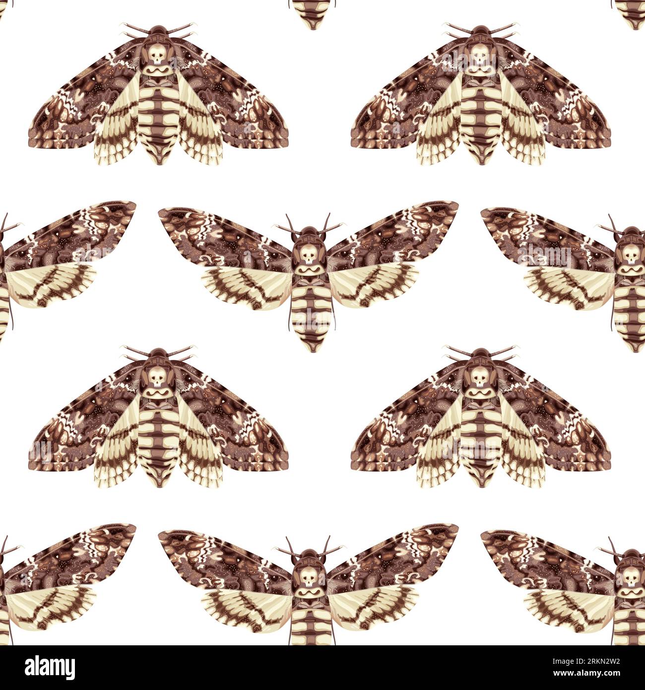 Nahtloses Muster mit Death Head Hawk Moth. Nachtaktiver tropischer Schmetterling. Mystisches Symbol. Stock Vektor