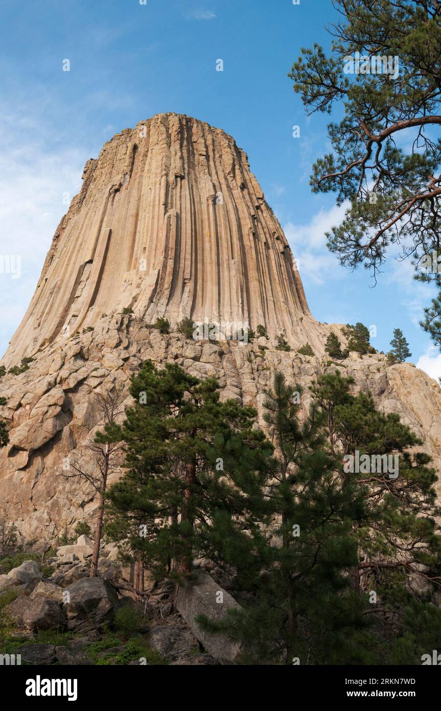 Das Devils Tower National Monument ist vulkanisch in der Natur. Ein beliebtes Touristenziel im Nordosten von Wyoming. Stockfoto