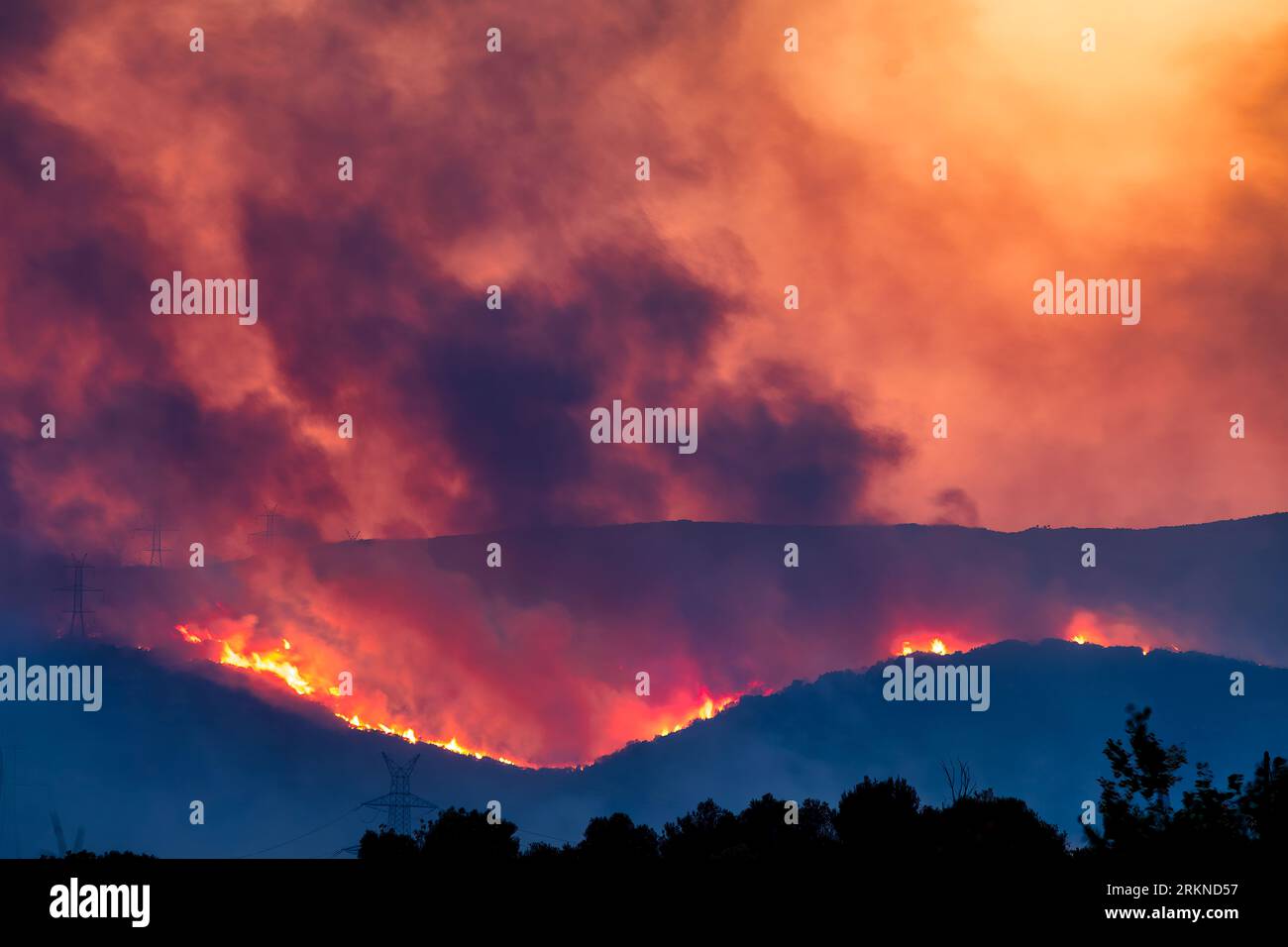 Alexandroupoli - Griechenland, 21. August 2023 Waldbrände in der Präfektur Evros im Norden Griechenlands bei dem größten Brand aller Zeiten in Europa Stockfoto