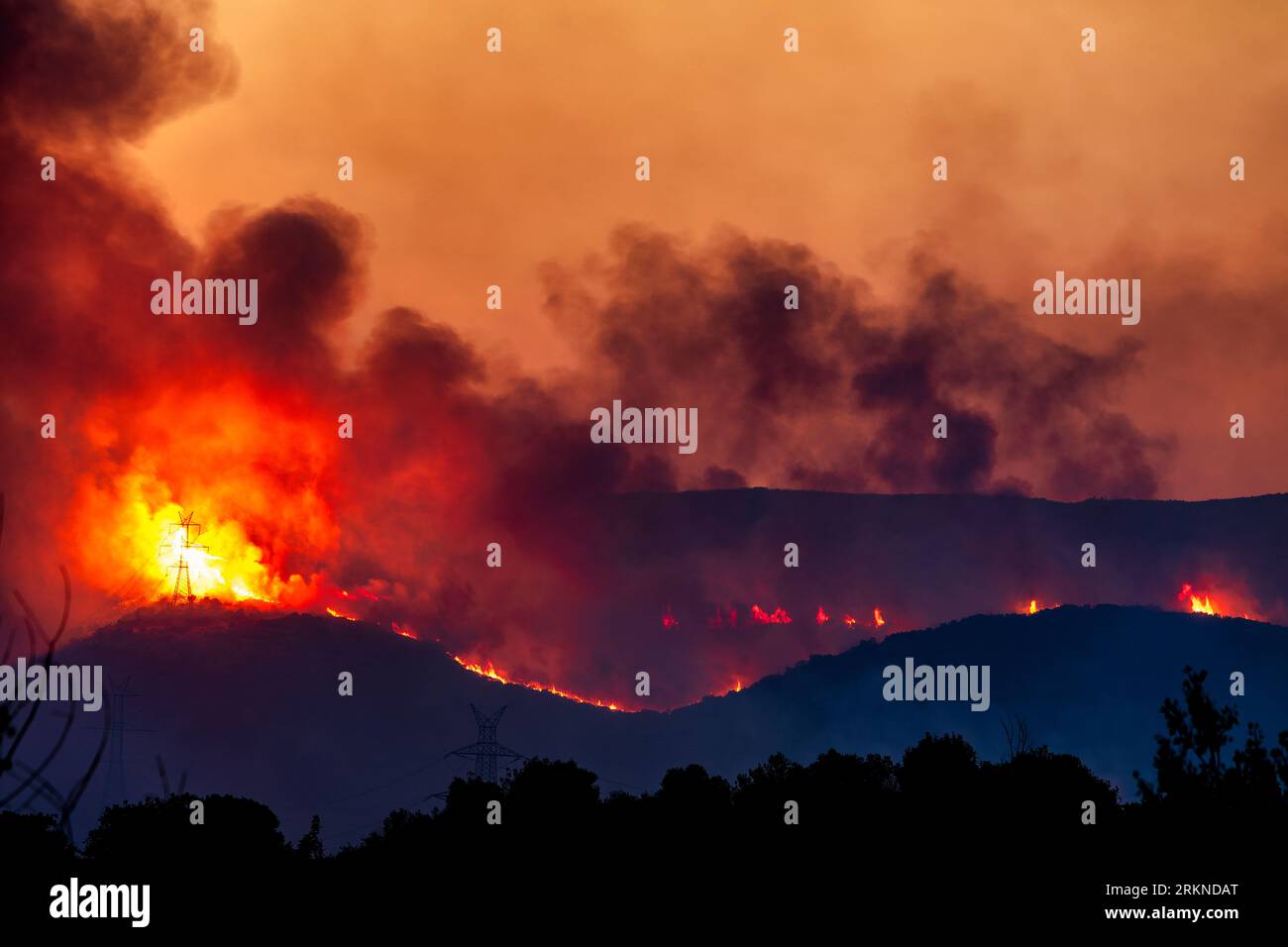 Alexandroupoli - Griechenland, 21. August 2023 Waldbrände in der Präfektur Evros im Norden Griechenlands bei dem größten Brand aller Zeiten in Europa Stockfoto