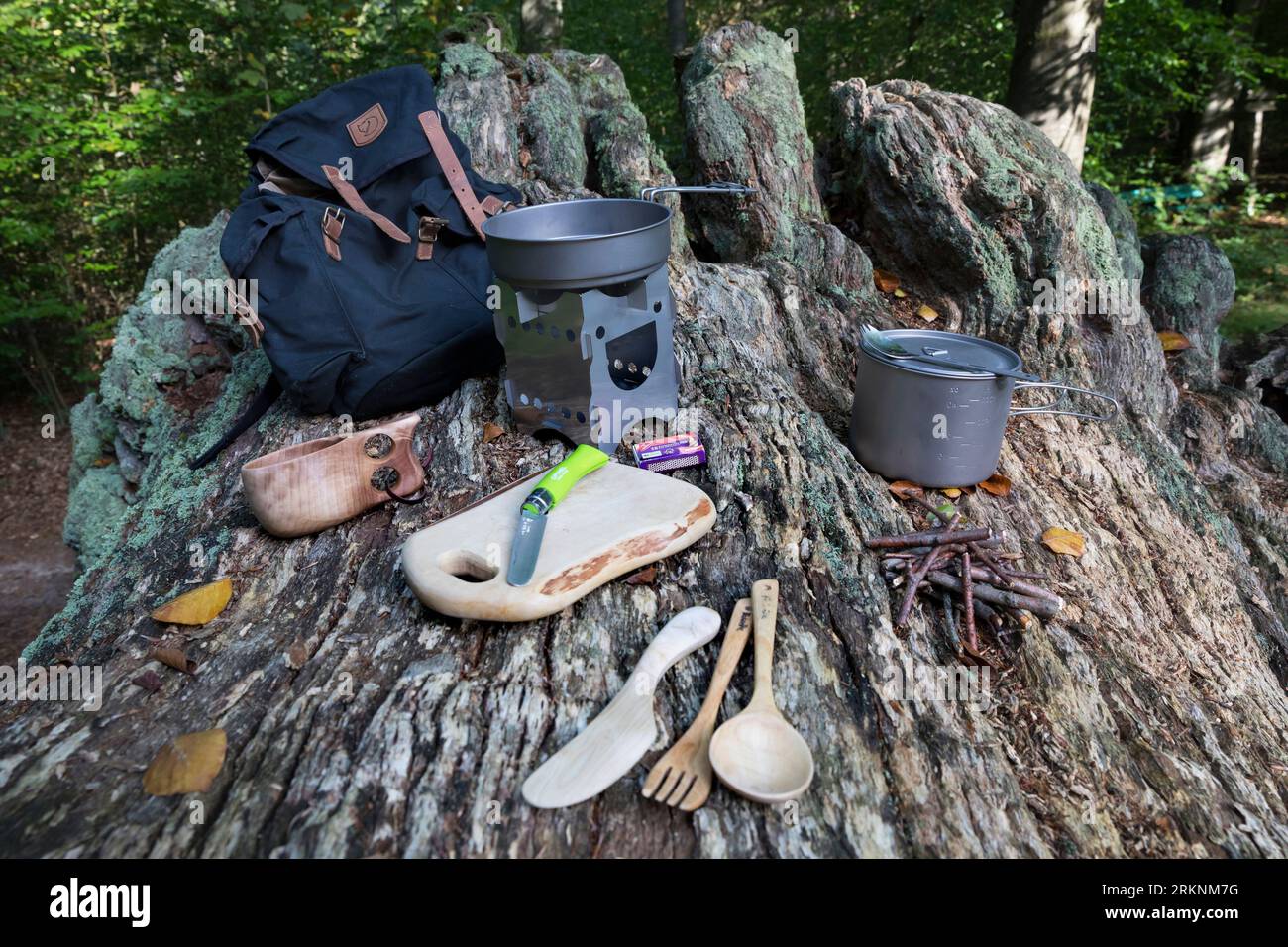 Rucksack mit Outdoor-Ausrüstung auf einer Baumwurzel Stockfoto