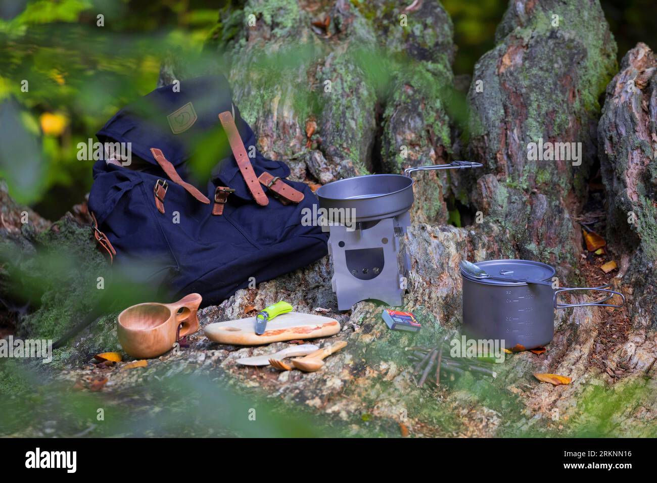 Rucksack mit Outdoor-Ausrüstung an einer Baumwurzel Stockfoto