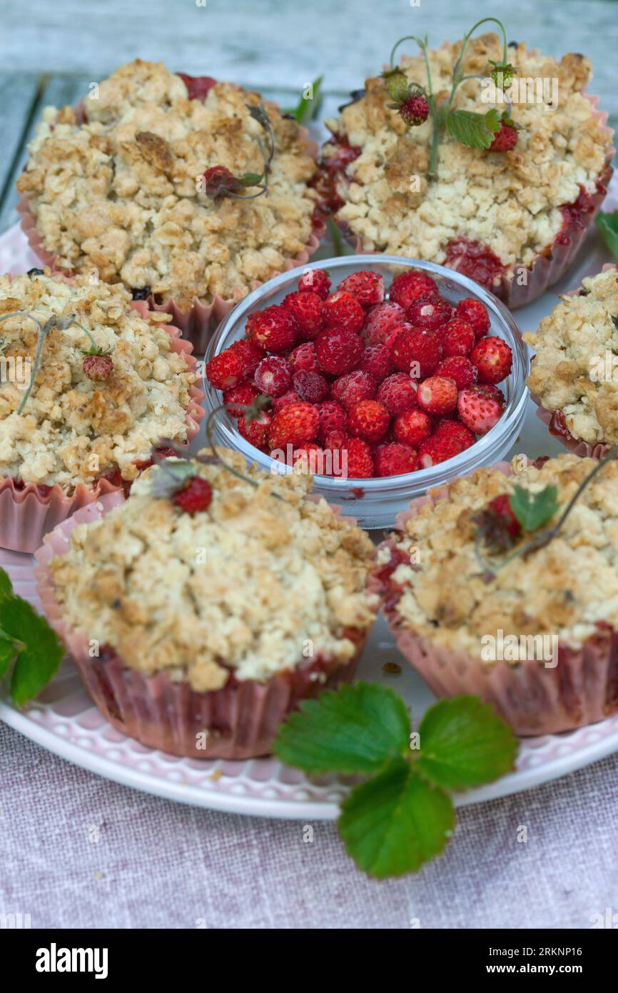 selbstgemachte Streusel aus wilden Erdbeeren Stockfoto