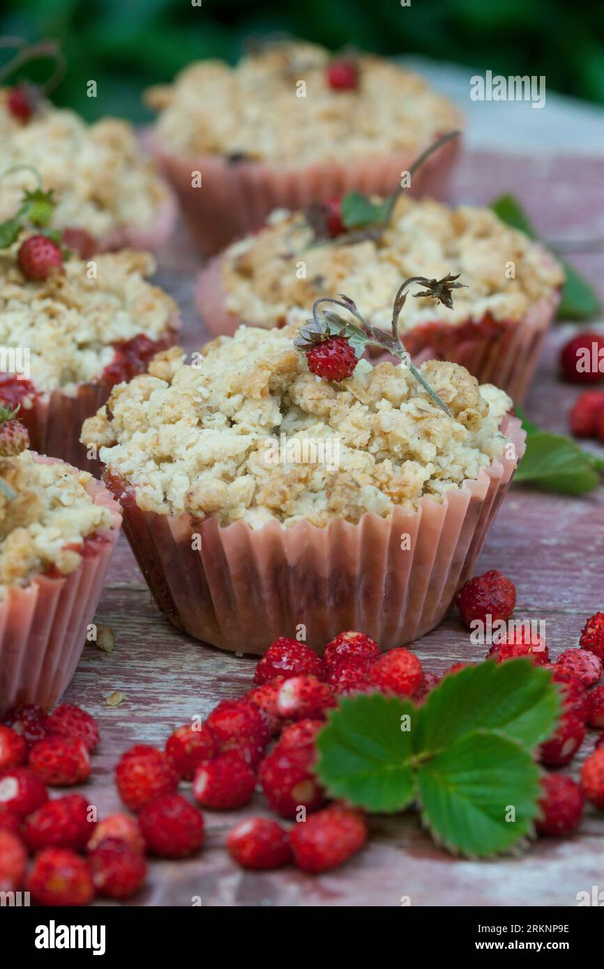 selbstgemachte Streusel aus wilden Erdbeeren Stockfoto