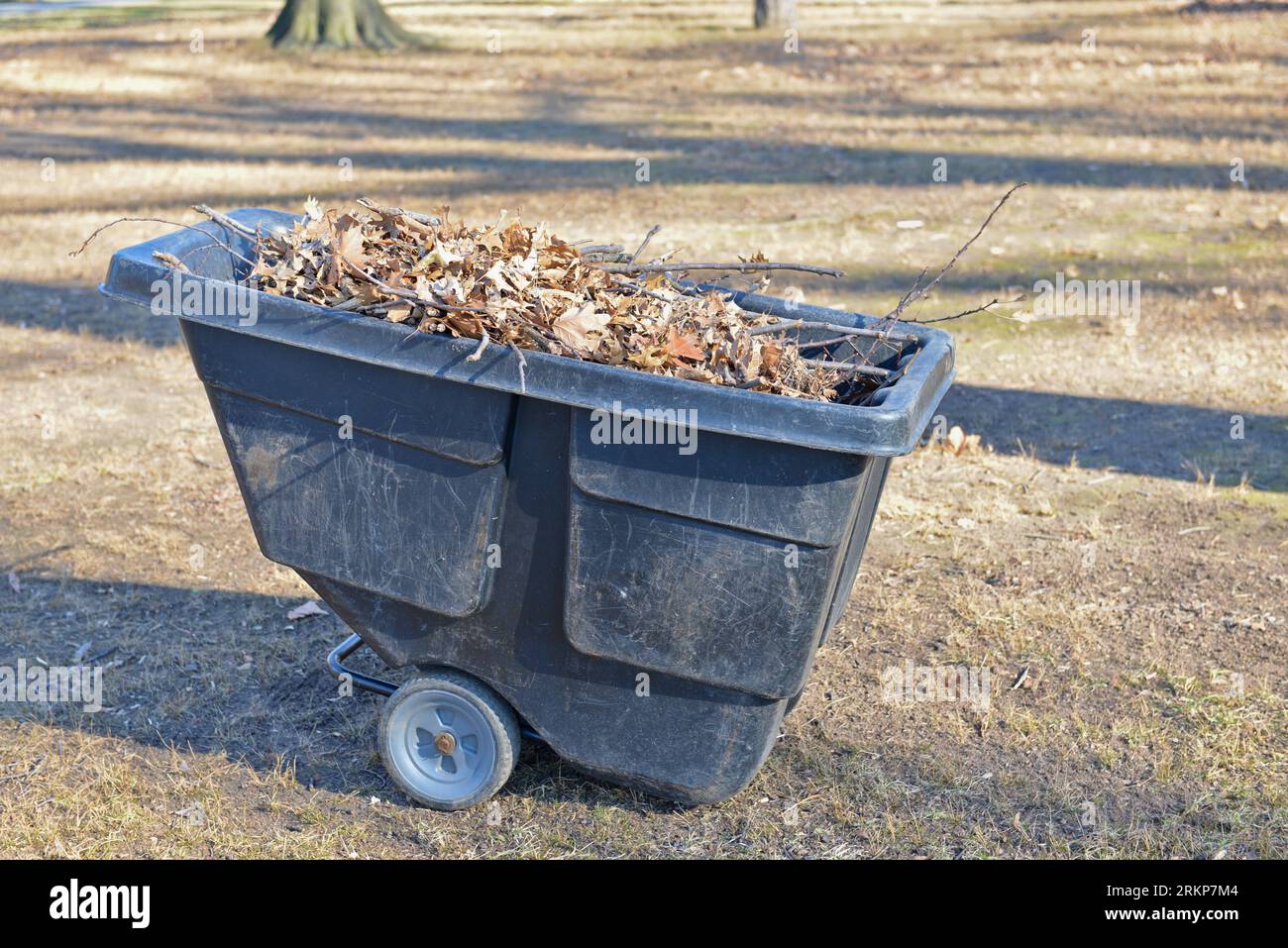 Fahrbare Abfalleimer mit Laub und Zweige gefüllt. Stockfoto