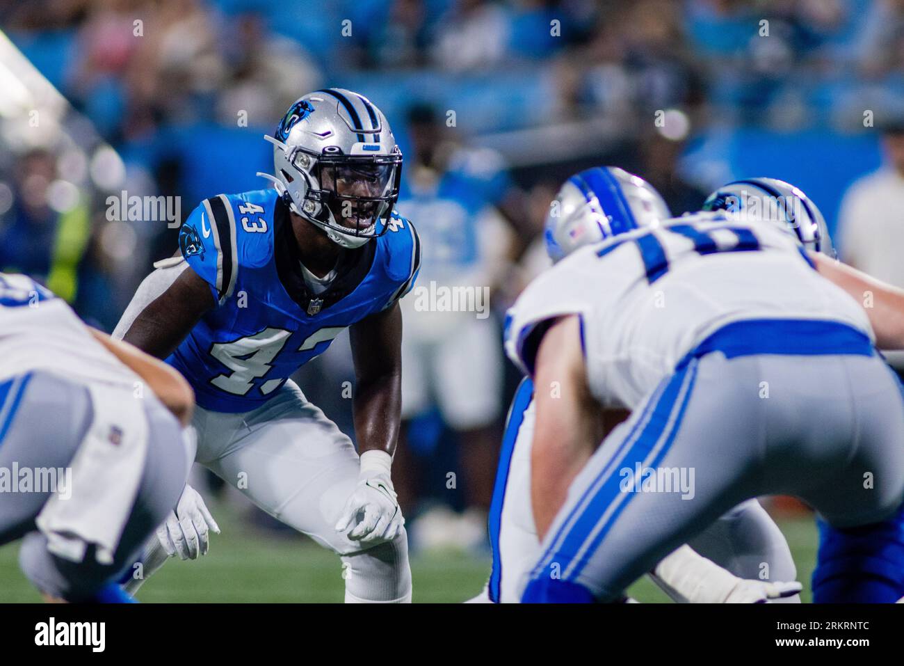 25. August 2023: Carolina Panthers Linebacker Ace Eley (43) beobachtet den Aufruf gegen die Detroit Lions im NFL-Matchup in Charlotte, NC. (Scott Kinser/Cal Sport Media) (Bild: © Scott Kinser/Cal Sport Media) Stockfoto