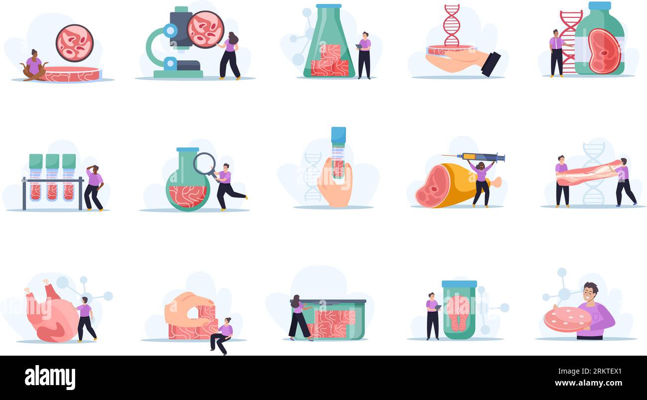 Künstlich gewachsenes Fleisch flache Reihe von isolierten Zusammensetzungen auf leerem Hintergrund mit Ikonen der Vektor-Illustration der Laborproduktion Stock Vektor