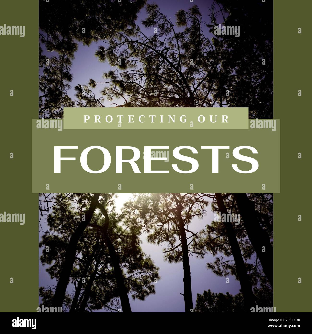 Kombination aus dem Schutz unserer Wälder Text und Low-Angle-Ansicht der schönen Bäume wachsen im Wald Stockfoto
