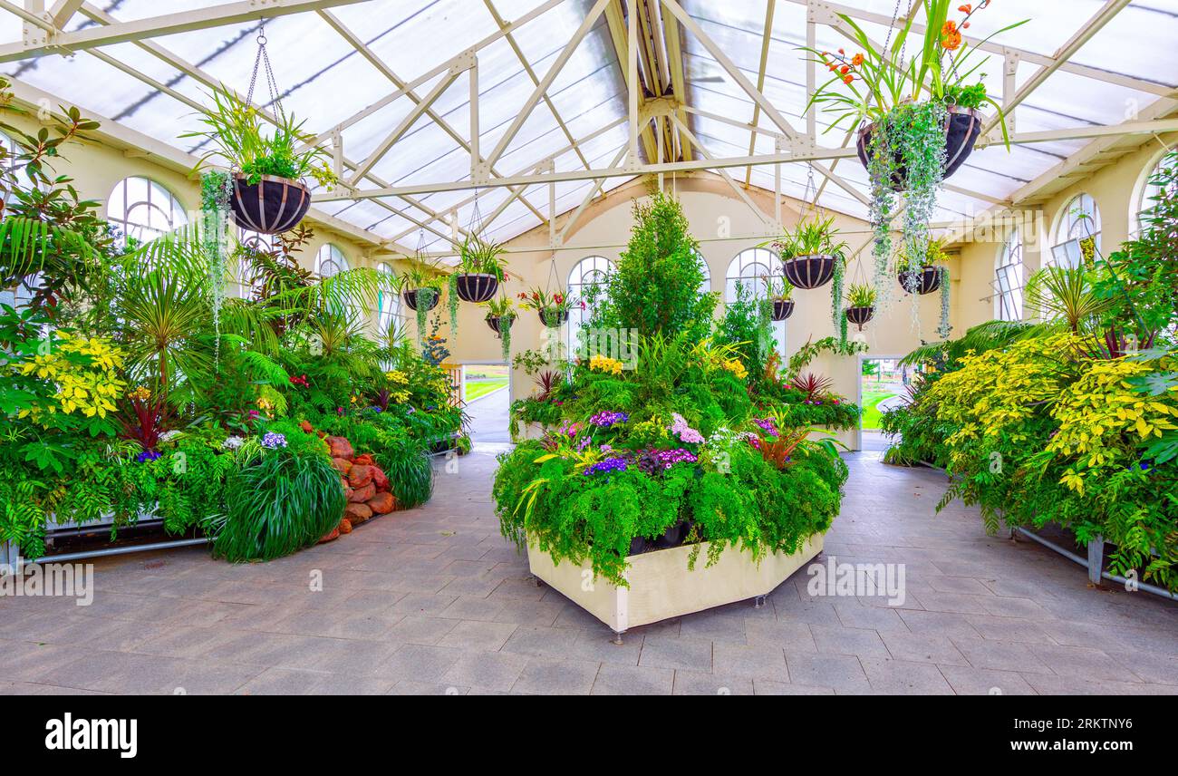 Stadtpark in Launceston, Tasmanien, Australien. Abgebildet: Innenansicht des John Hart Conservatory. Stockfoto