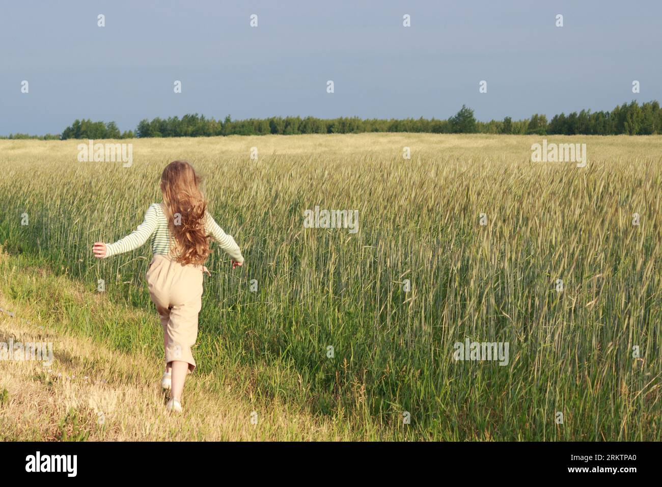 Ein Mädchen mit langen blonden Haaren in leichten Kleidern läuft an einem sonnigen Tag auf ein landwirtschaftliches Getreidefeld. Stockfoto