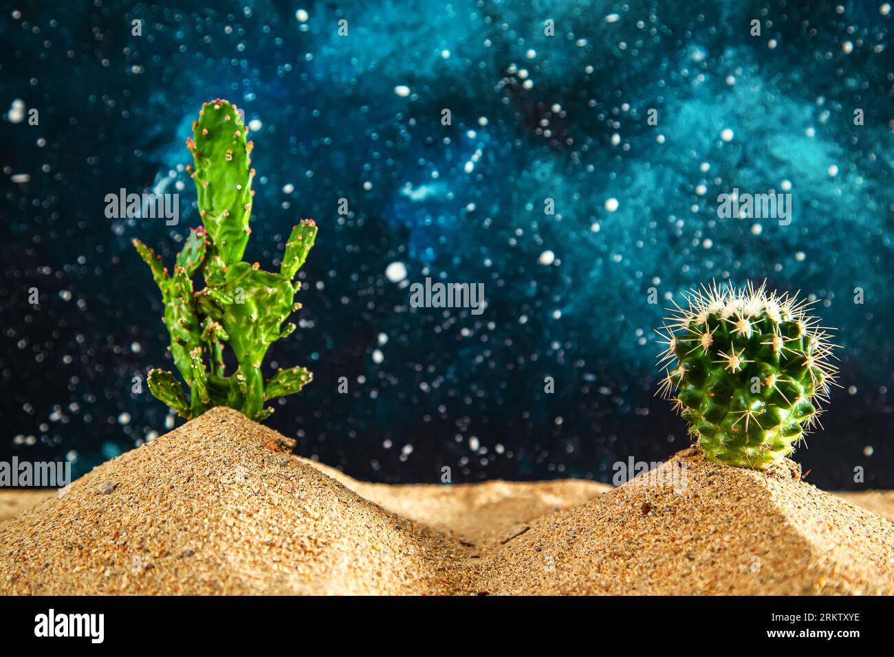 Zwei Kakteen im Sand. Wüstensimulation. Nachthimmel mit Sternenhimmel. Stockfoto