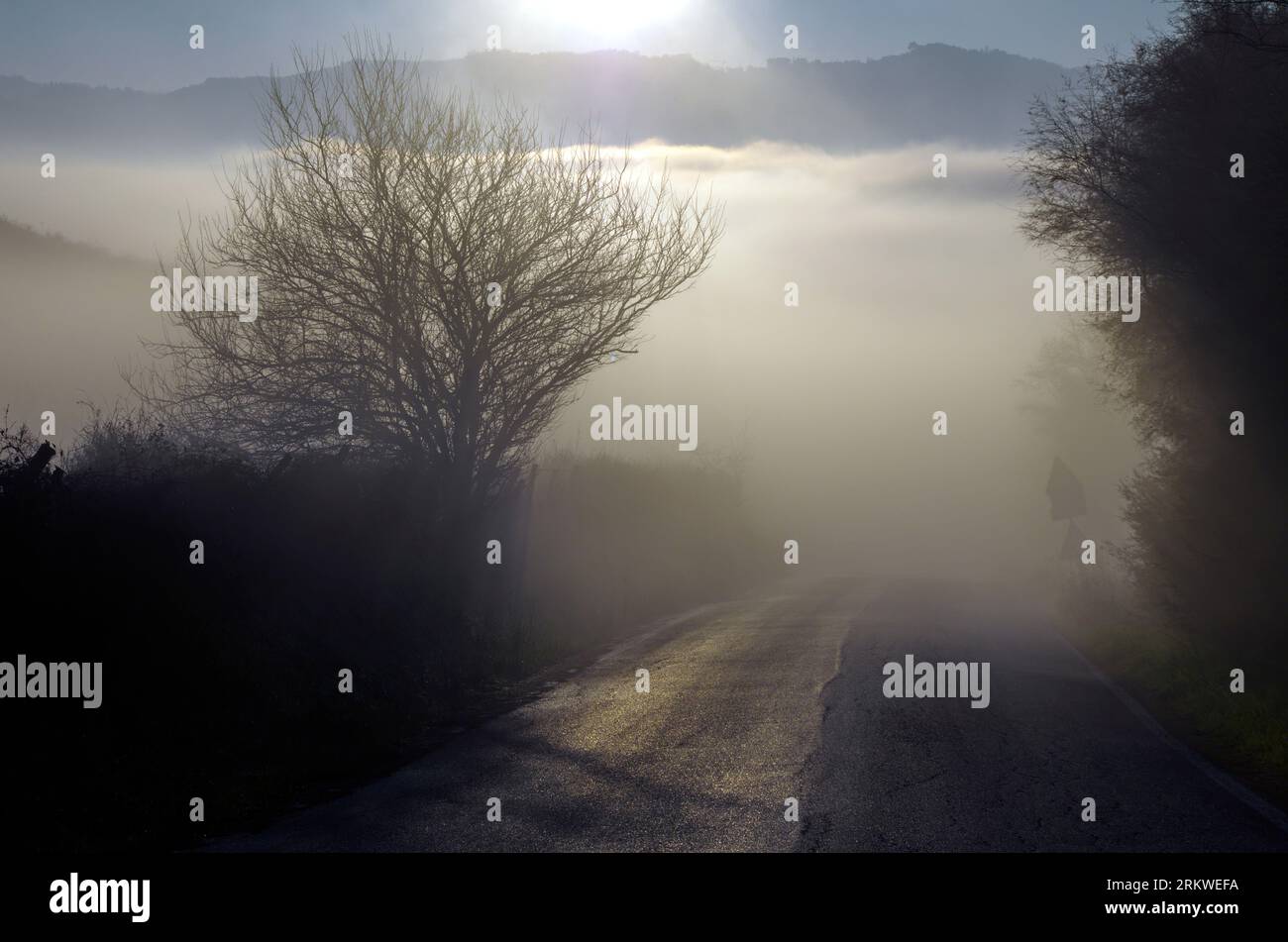 una strada si tuffa in un Stare di nebbia Stockfoto