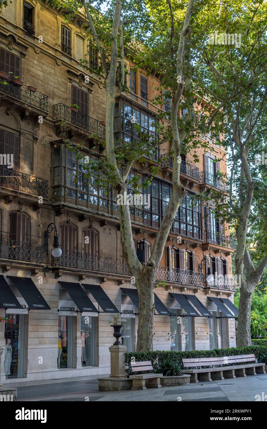 Palma de Mallorca, Spanien; 06. august 2023: Allgemeiner Blick auf Passeig de's geboren im historischen Zentrum der Stadt Palma de Mallorca bei Sonnenaufgang. Spanien Stockfoto