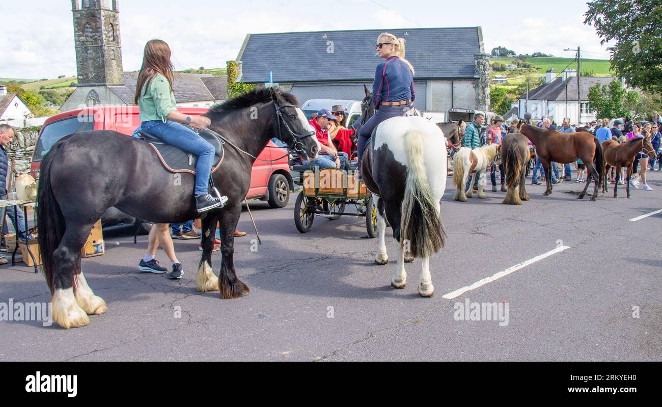 Rosscarbery Horse Fair West Cork Irland Stockfoto