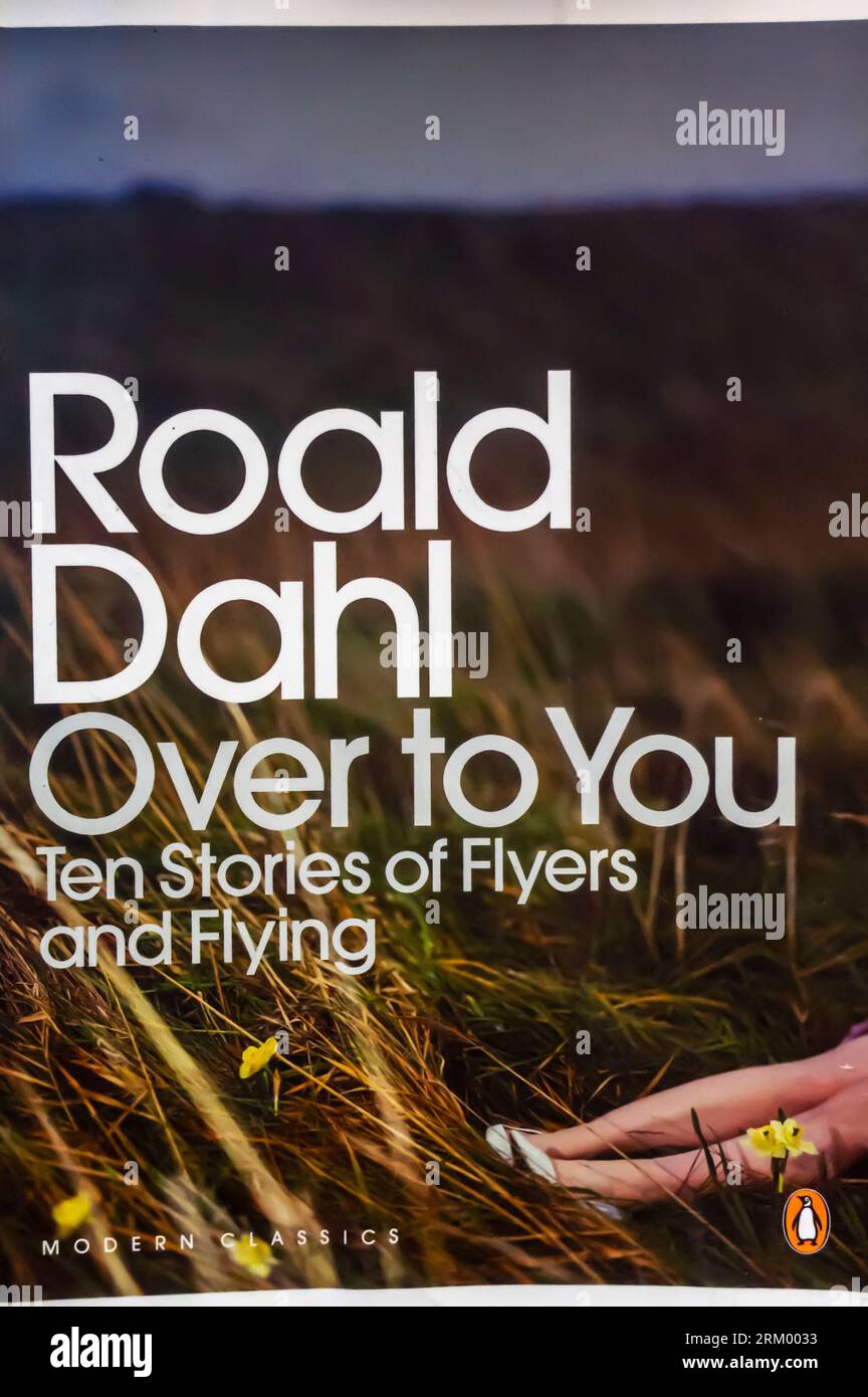 Jetzt sind Sie dran - Roald Dahl Buch Stockfoto