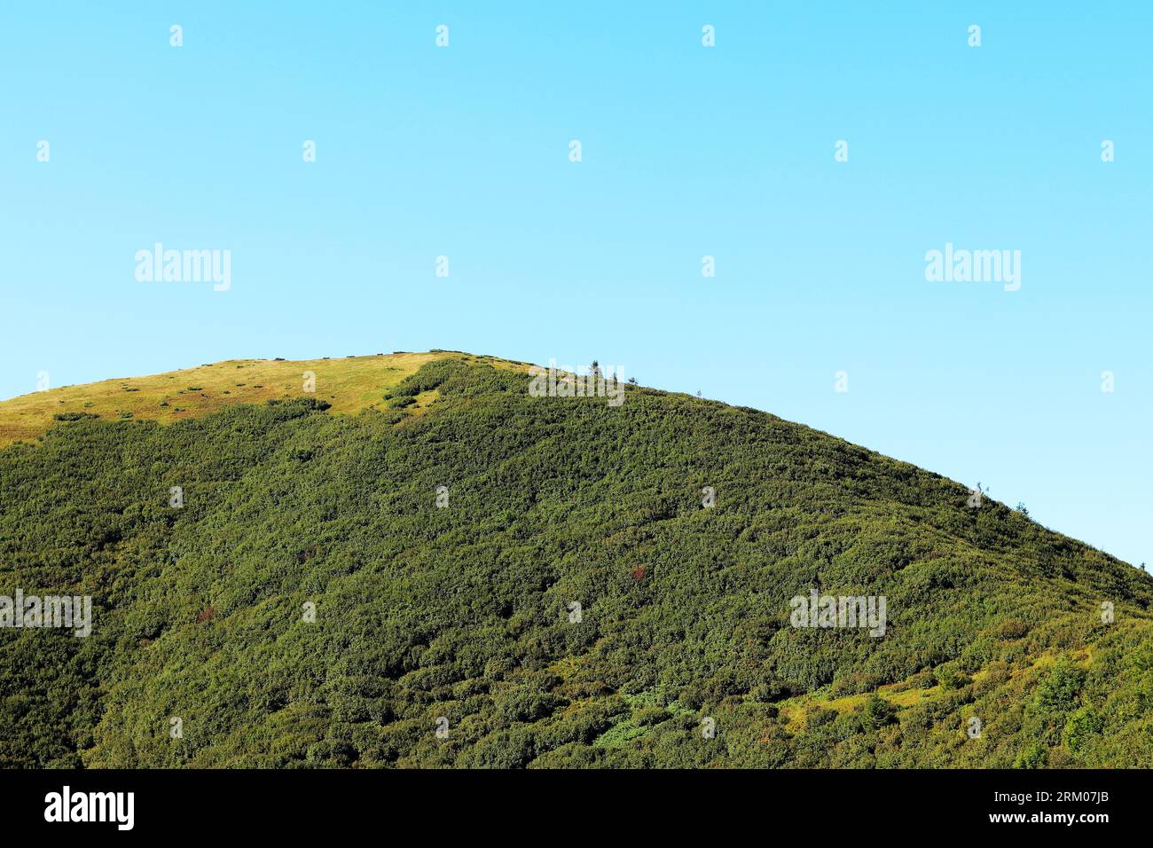 Berglandschaft, Hügel der Karpaten, Ukraine. Tourismuskonzept. Waldgebiet, Natur im Sommer Stockfoto