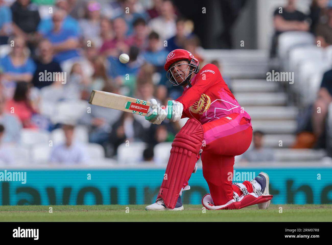 London, UK. 26th Aug, 2023. as The Northern Superchargers take on The Welsh Fire in The Hundred women's eliminator at The Kia Oval. Credit: David Rowe/Alamy Live News Stockfoto