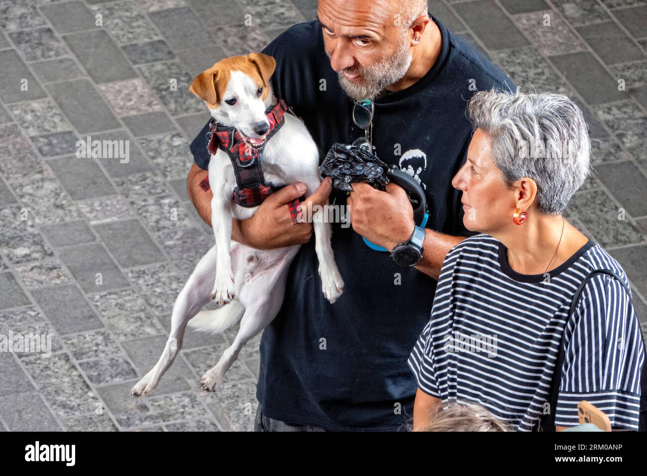 Das Big Woof Festival im Kings Cross Coal Drops Yard London feiert den Internationalen Tag der Hunde. Stockfoto