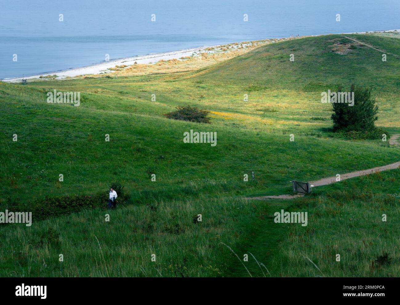 Ruhige Landschaft mit grünem Grasland und ruhigem Ozeanwasser. Stockfoto